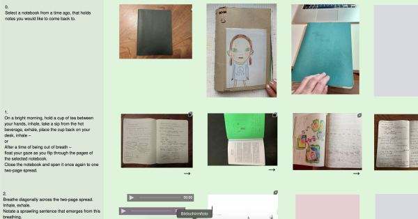 withing Delphine Chapuis Schmitz Language based artistic research practice sharing