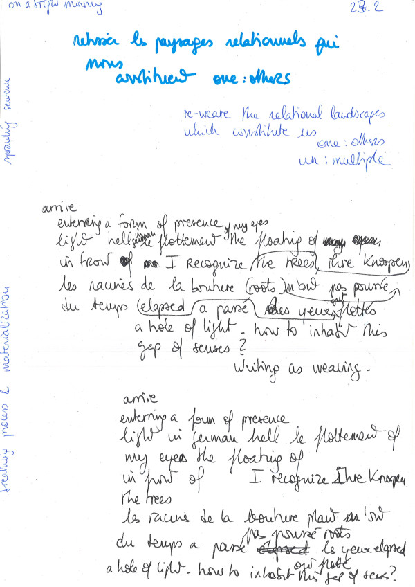 withing language based artistic research Delphine Chapuis Schmitz